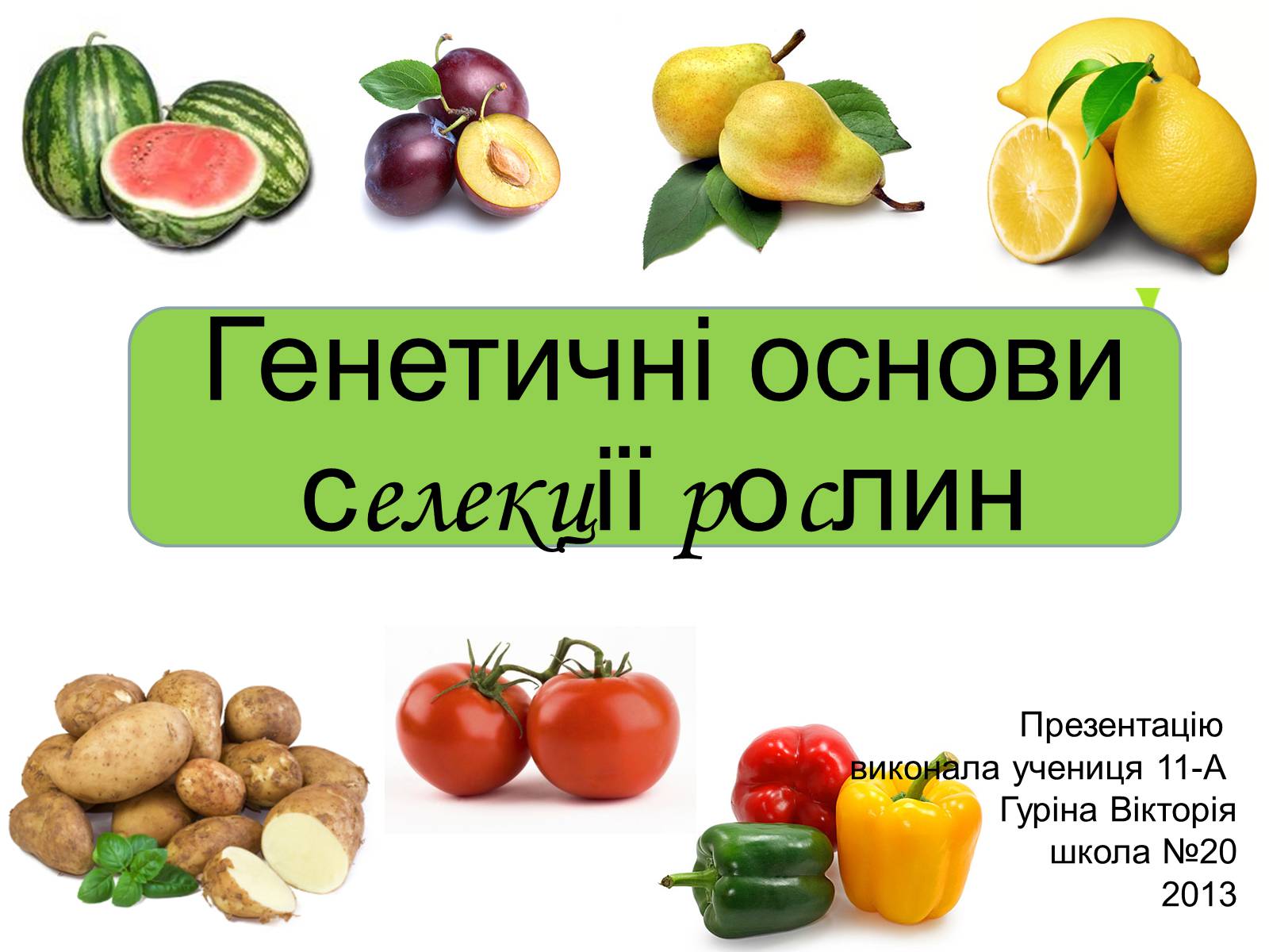 Презентація на тему «Генетичні основи селекції рослин» (варіант 2) - Слайд #1 Презентація на тему «Генетичні основи селекції рослин» (варіант 2) - Слайд #1