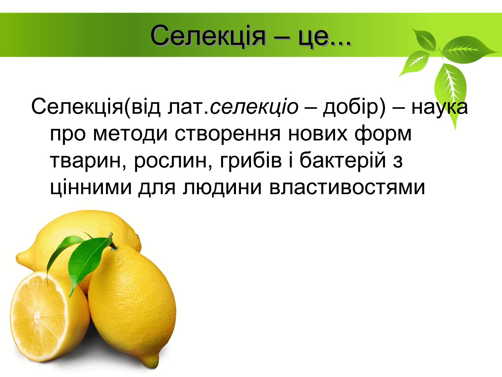Презентація на тему «Генетичні основи селекції рослин» (варіант 2) - Слайд #2 Презентація на тему «Генетичні основи селекції рослин» (варіант 2) - Слайд #2