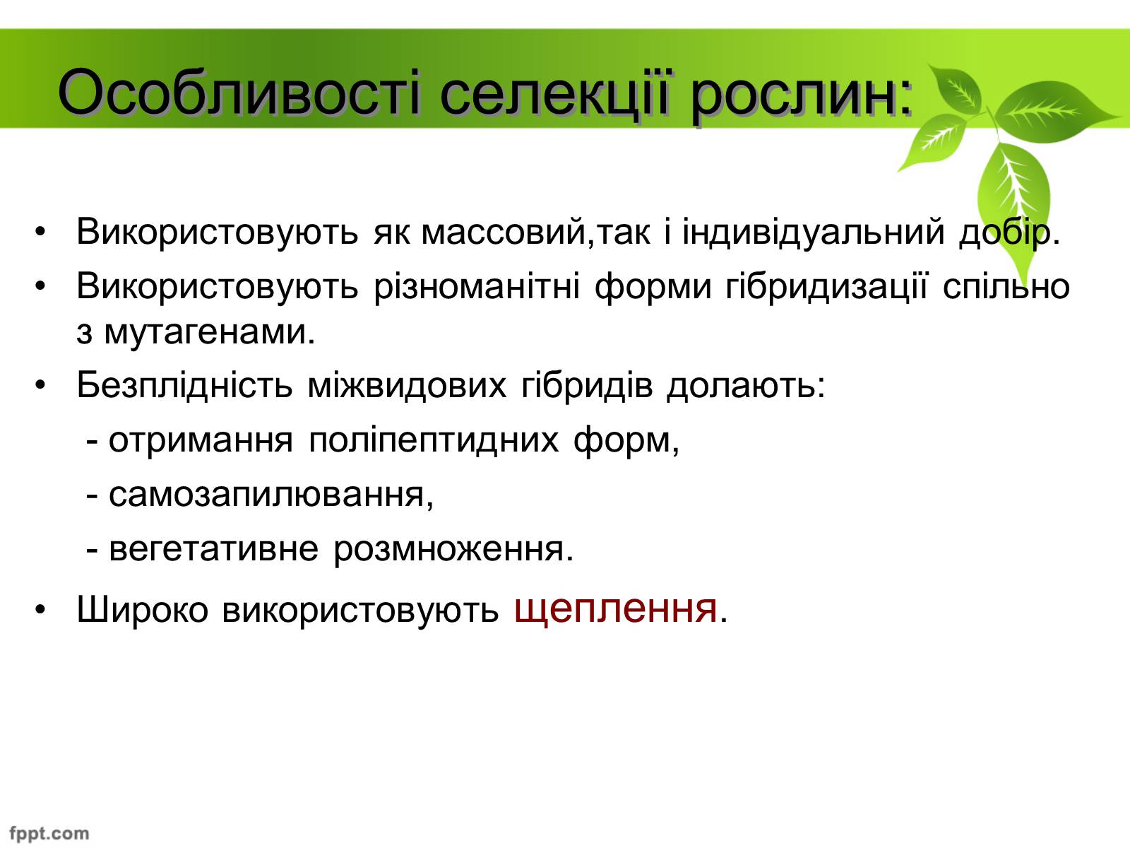 Презентація на тему «Генетичні основи селекції рослин» (варіант 2) - Слайд #6 Презентація на тему «Генетичні основи селекції рослин» (варіант 2) - Слайд #6