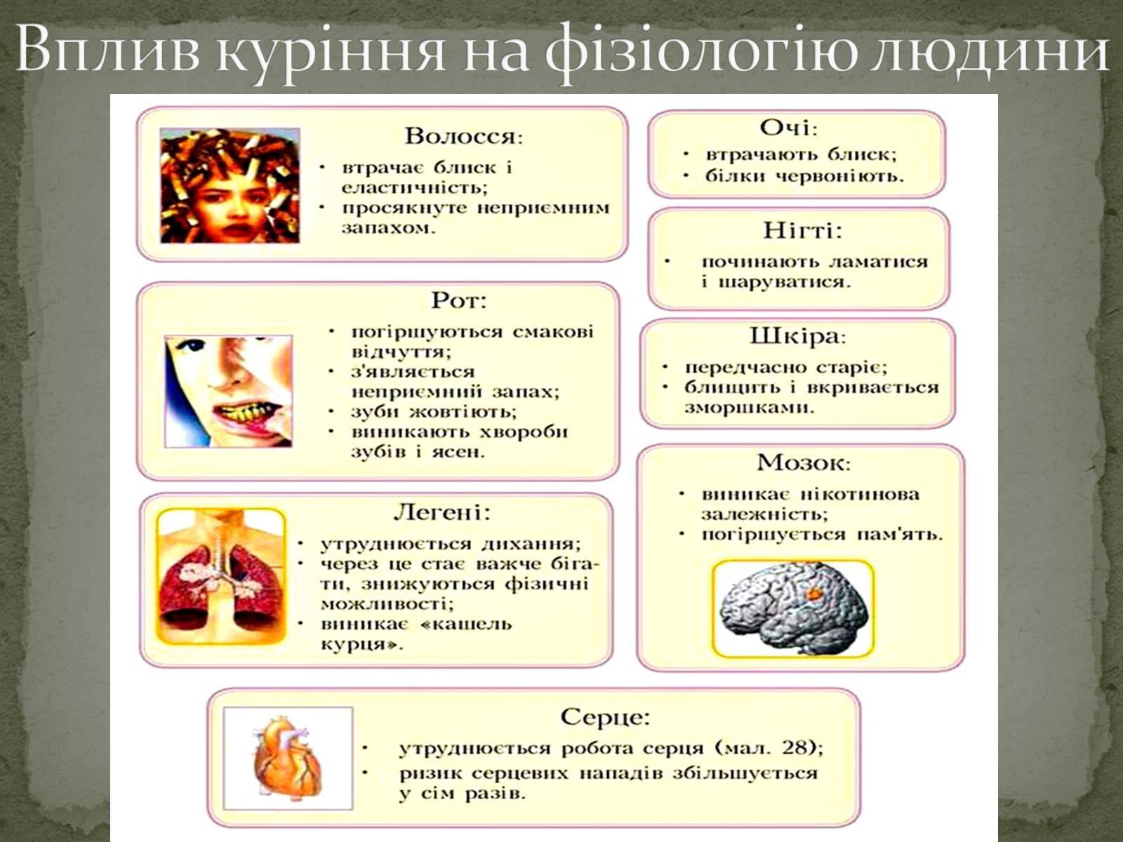 Презентація на тему «Тютюнопаління» (варіант 5) - Слайд #19 Презентація на тему «Тютюнопаління» (варіант 5) - Слайд #19