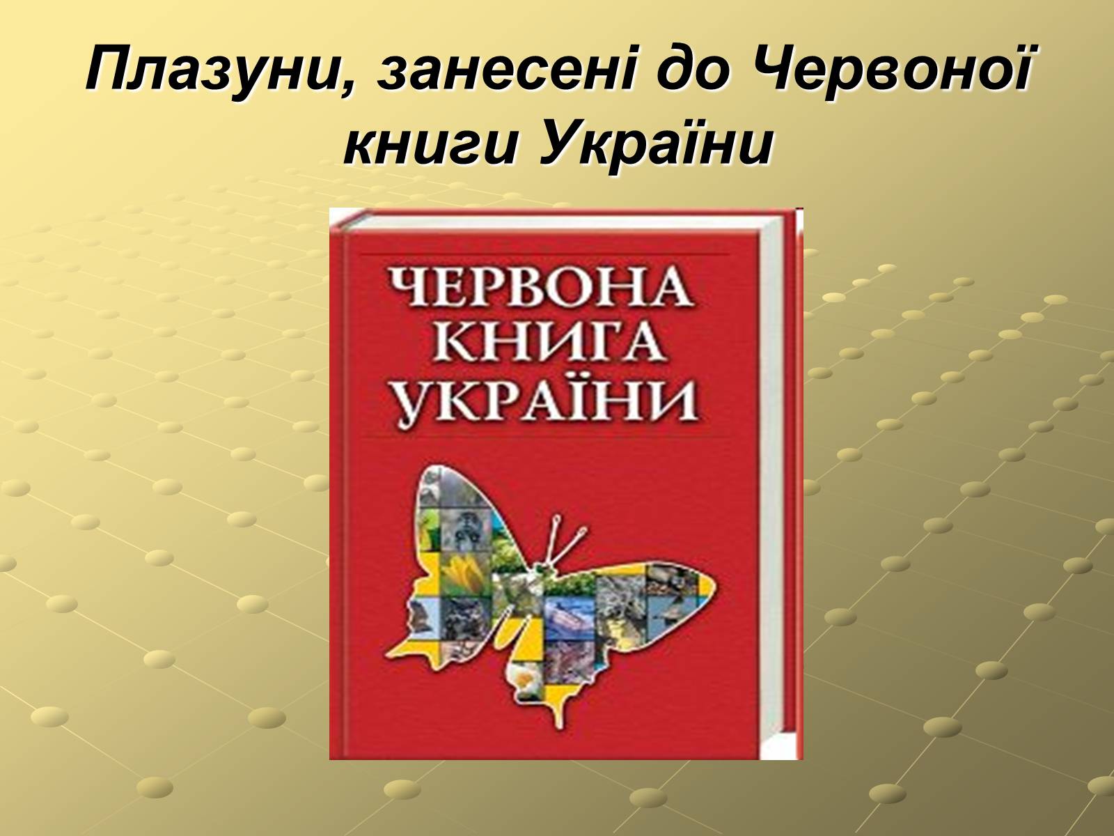Презентація на тему «Плазуни» (варіант 3) - Слайд #2 Презентація на тему «Плазуни» (варіант 3) - Слайд #2
