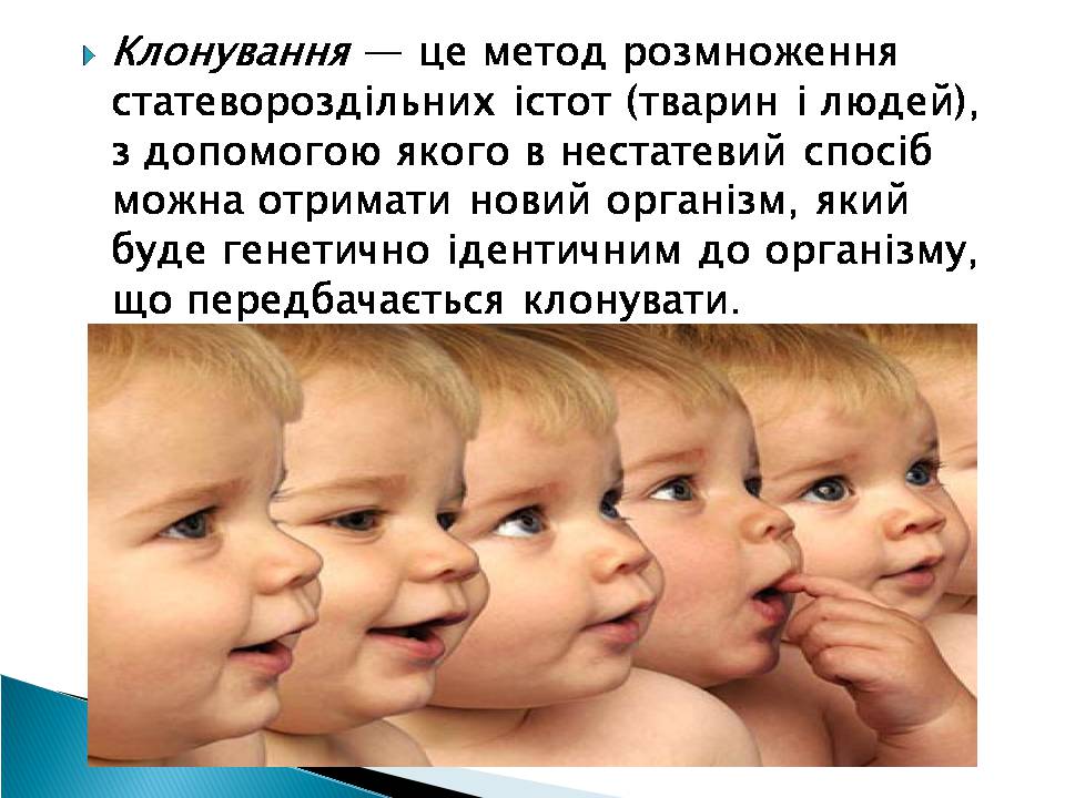 Презентація на тему «Ембріотехнології» - Слайд #11 Презентація на тему «Ембріотехнології» - Слайд #11