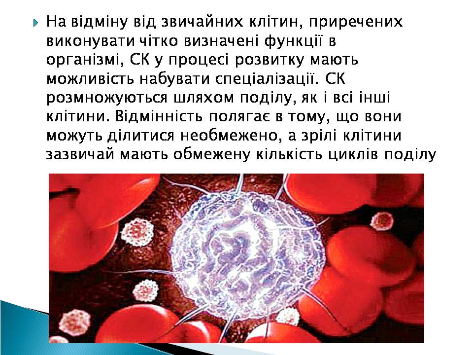 Презентація на тему «Ембріотехнології» - Слайд #5 Презентація на тему «Ембріотехнології» - Слайд #5