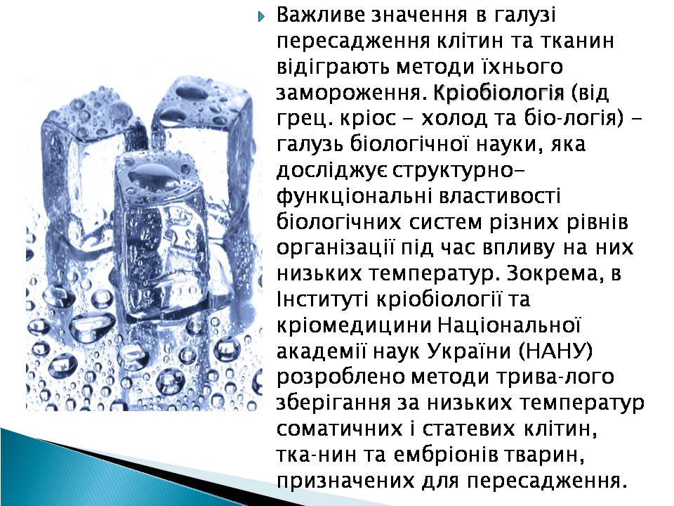 Презентація на тему «Ембріотехнології» - Слайд #9 Презентація на тему «Ембріотехнології» - Слайд #9