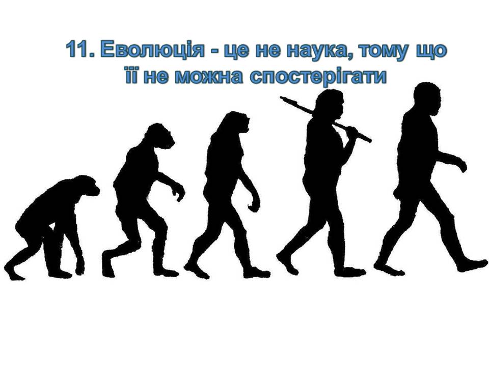 Презентація на тему «14 головних помилок про еволюцію» - Слайд #13 Презентація на тему «14 головних помилок про еволюцію» - Слайд #13