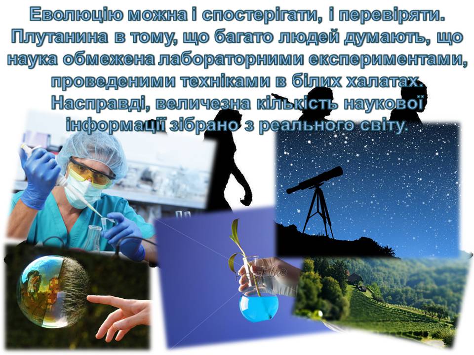 Презентація на тему «14 головних помилок про еволюцію» - Слайд #14 Презентація на тему «14 головних помилок про еволюцію» - Слайд #14
