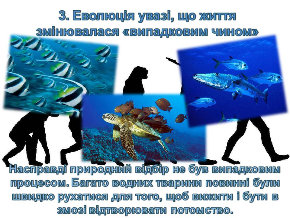 Презентація на тему «14 головних помилок про еволюцію» - Слайд #5 Презентація на тему «14 головних помилок про еволюцію» - Слайд #5