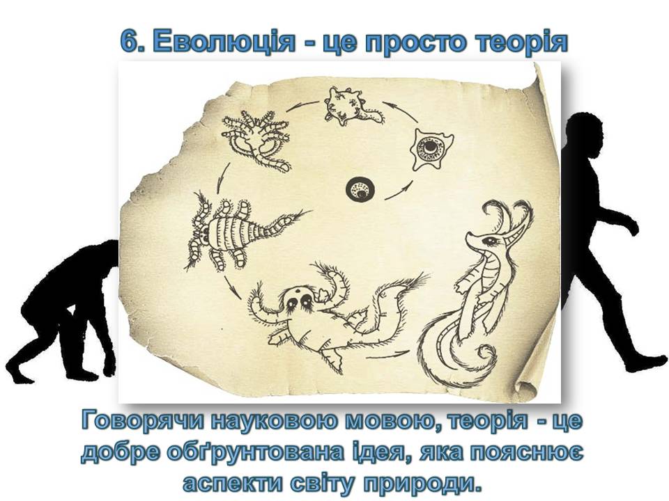 Презентація на тему «14 головних помилок про еволюцію» - Слайд #8 Презентація на тему «14 головних помилок про еволюцію» - Слайд #8