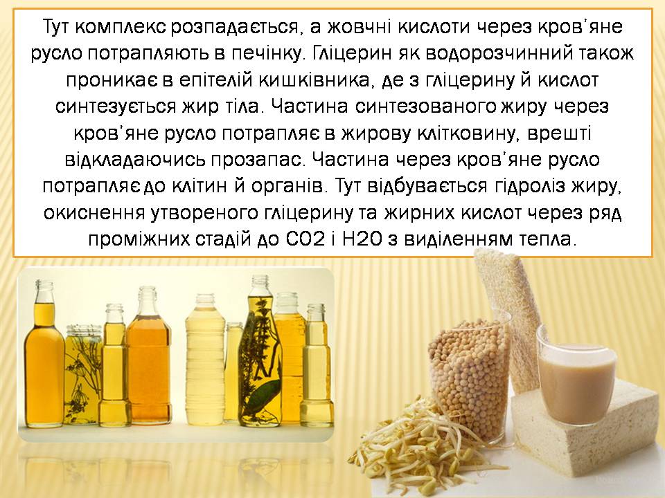 Презентація на тему «Жири» (варіант 24) - Слайд #8 Презентація на тему «Жири» (варіант 24) - Слайд #8
