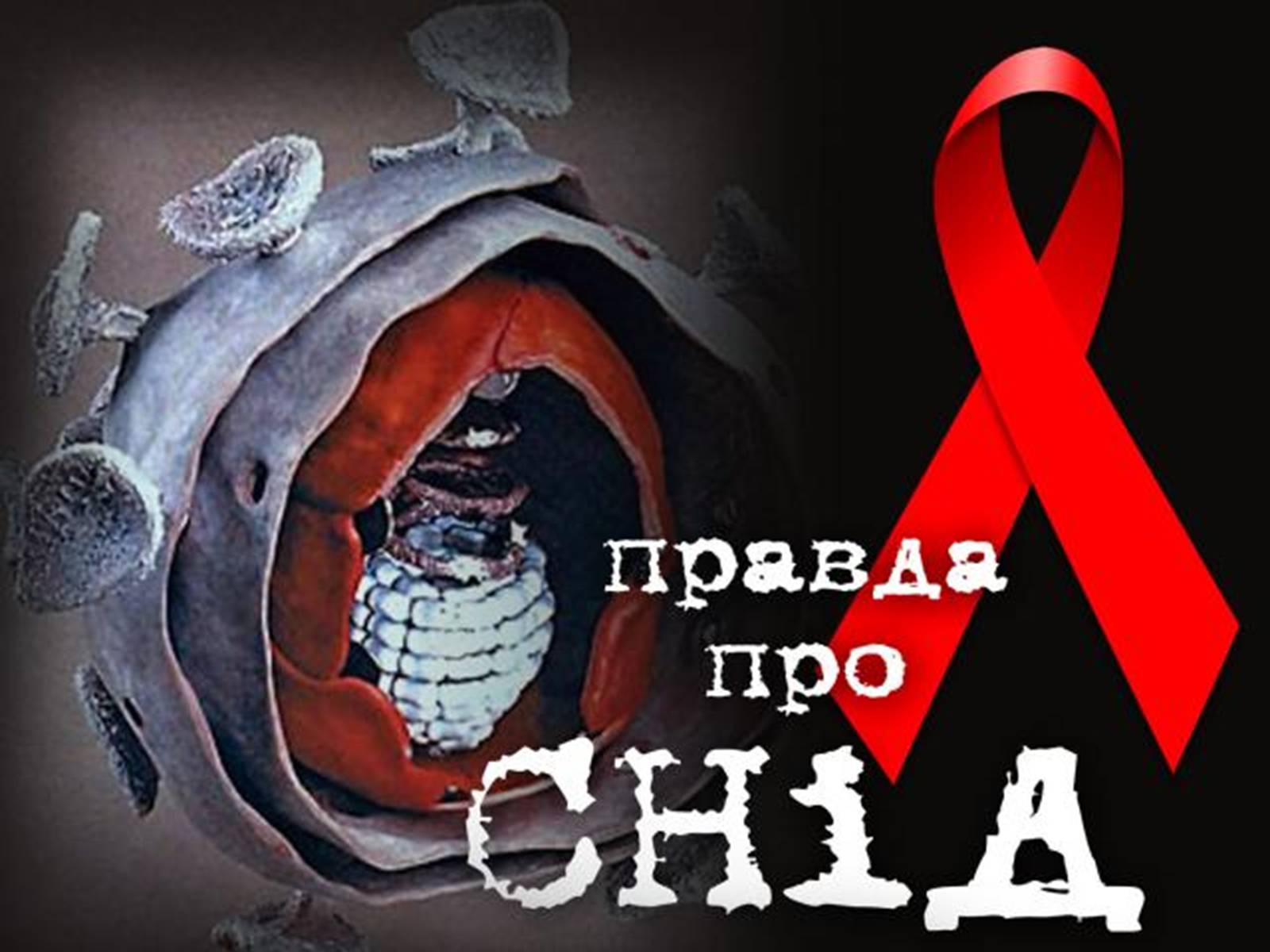 Презентація на тему «Снід» (варіант 4) - Слайд #1 Презентація на тему «Снід» (варіант 4) - Слайд #1