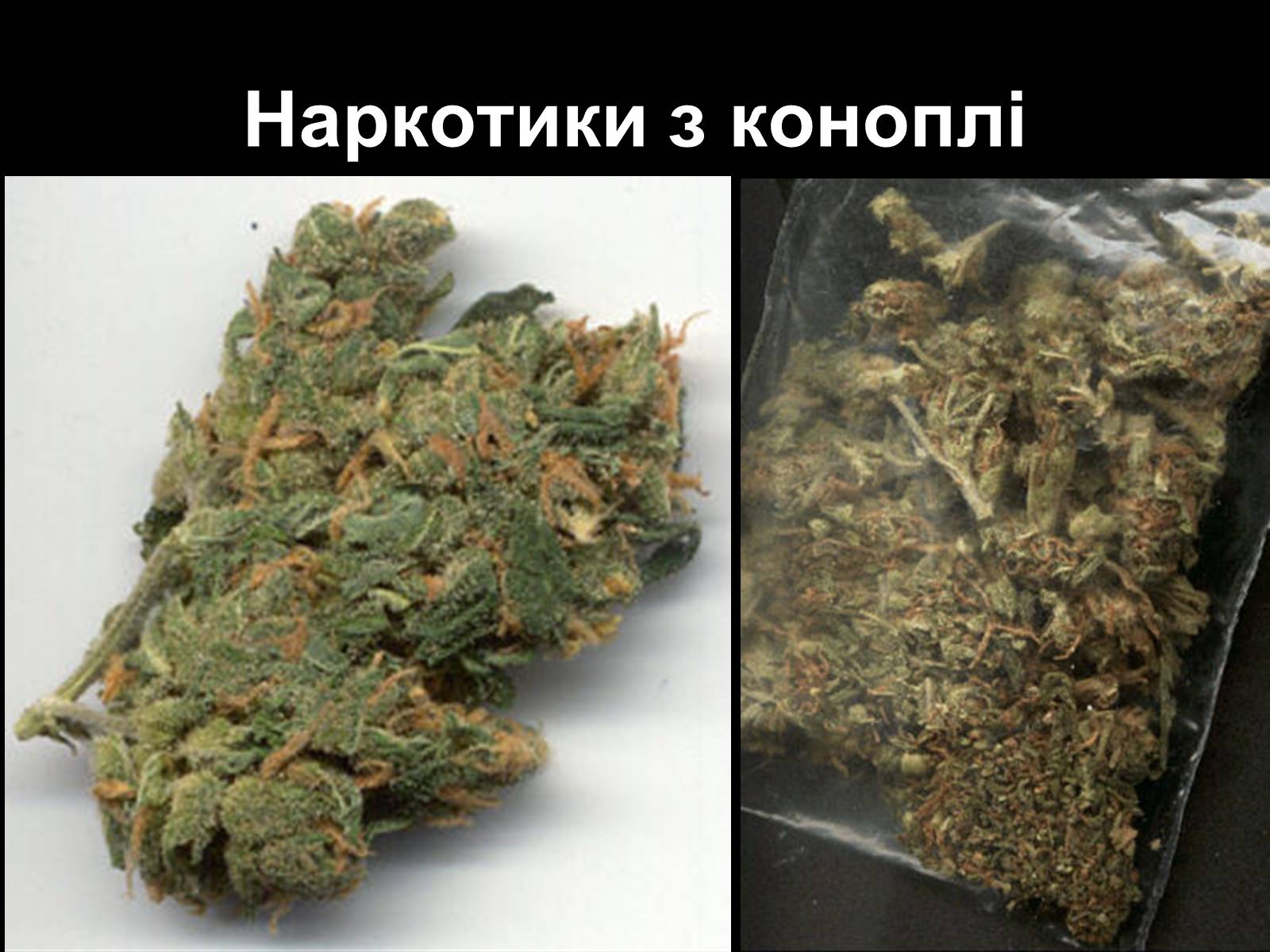 Презентація на тему «Наркоманія» (варіант 2) - Слайд #28 Презентація на тему «Наркоманія» (варіант 2) - Слайд #28