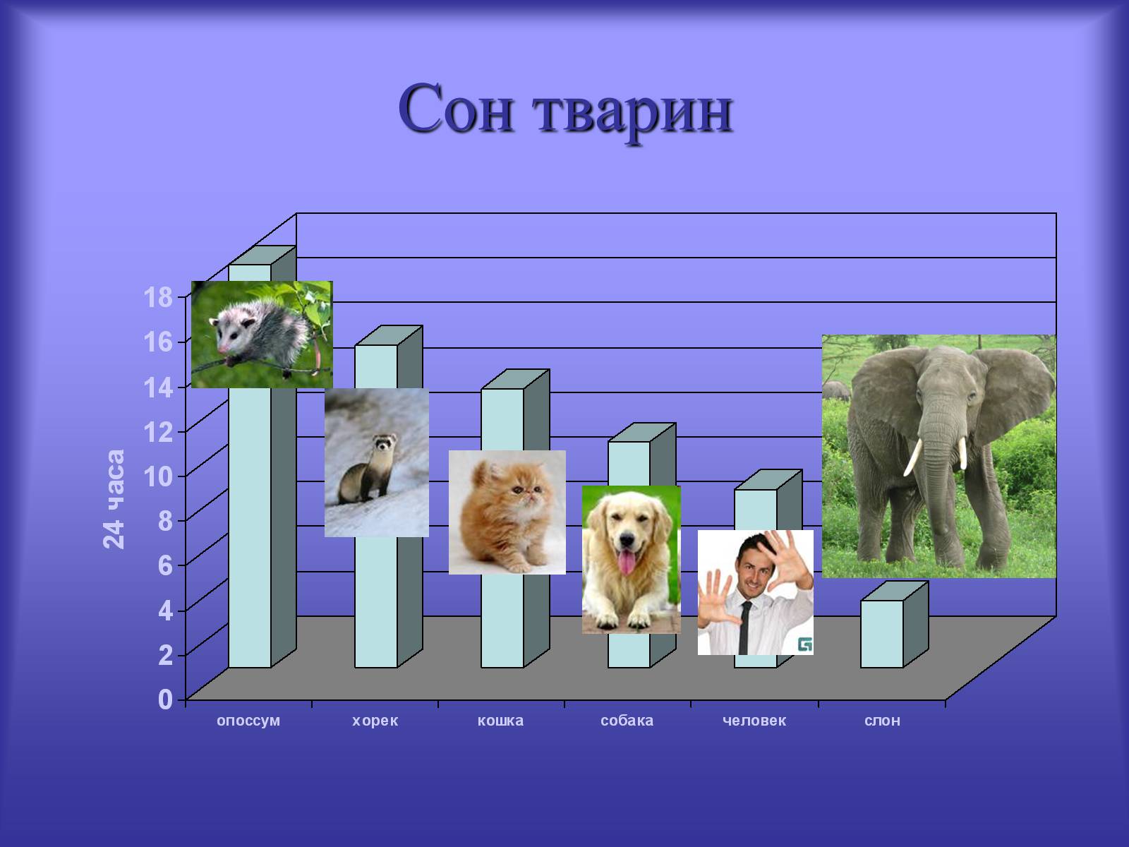 Презентація на тему «Хропіння» - Слайд #3 Презентація на тему «Хропіння» - Слайд #3