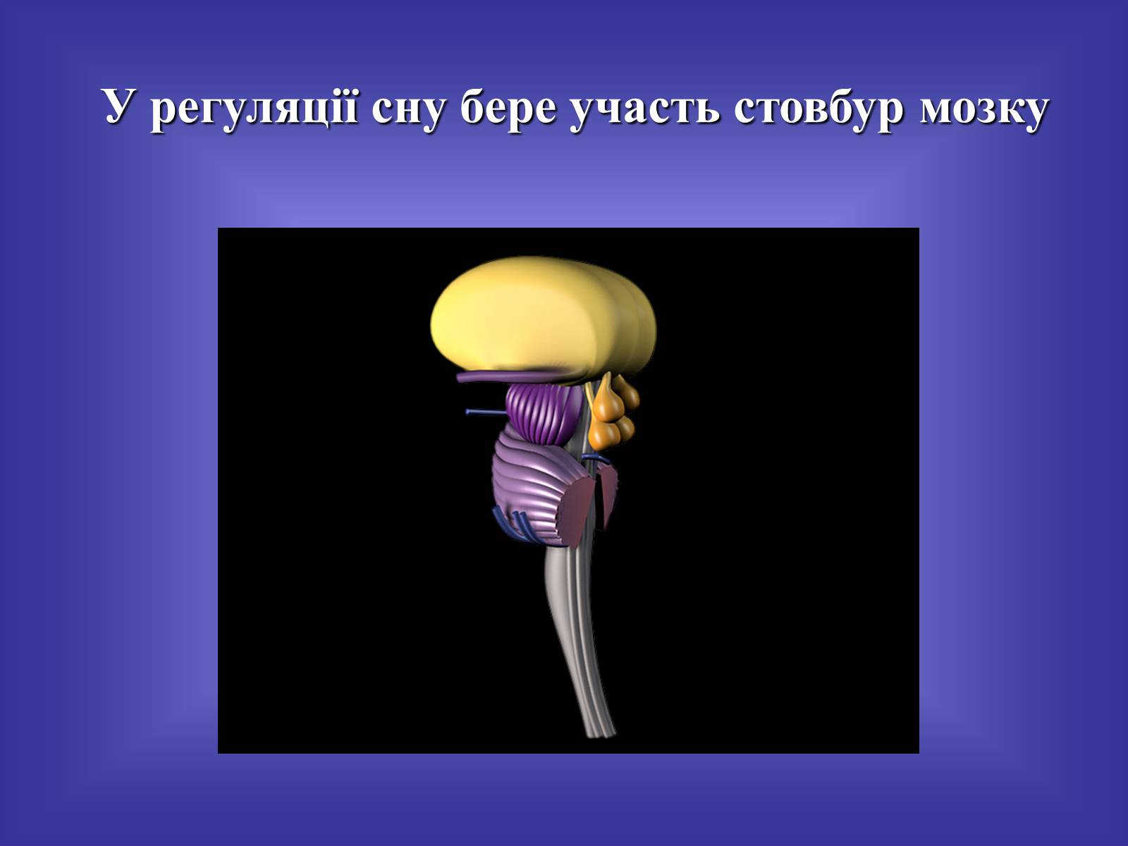 Презентація на тему «Хропіння» - Слайд #4 Презентація на тему «Хропіння» - Слайд #4