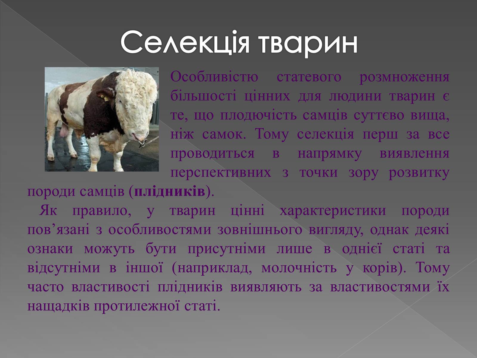 Презентація на тему «Основи селекції» - Слайд #12 Презентація на тему «Основи селекції» - Слайд #12