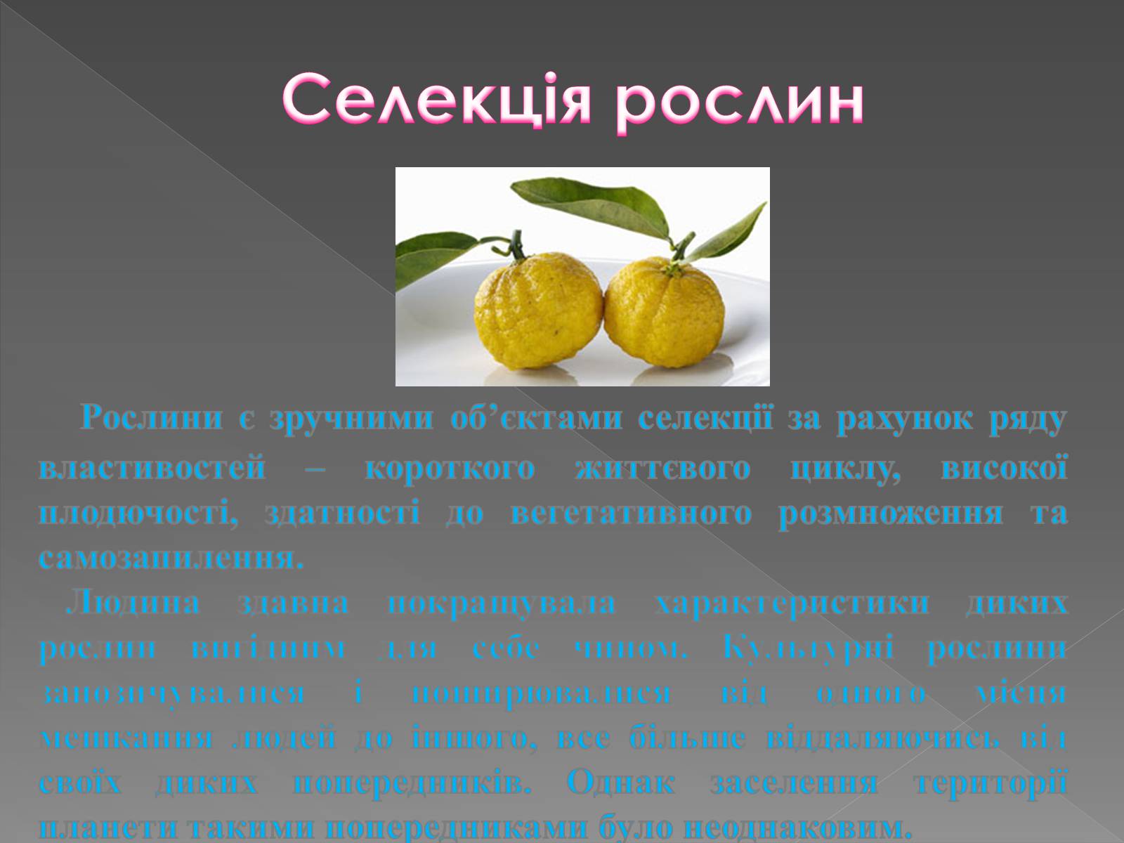 Презентація на тему «Основи селекції» - Слайд #16 Презентація на тему «Основи селекції» - Слайд #16