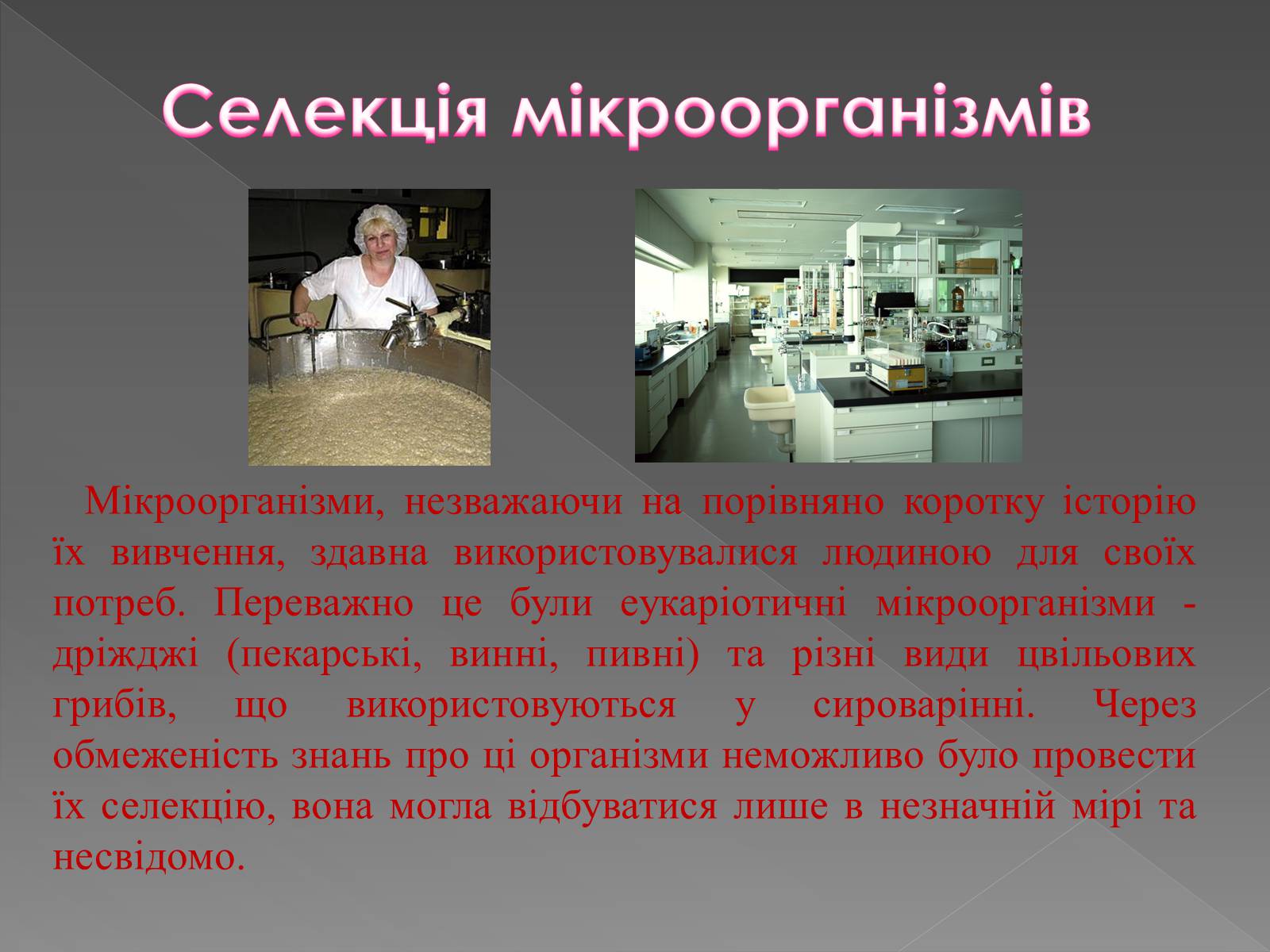 Презентація на тему «Основи селекції» - Слайд #21 Презентація на тему «Основи селекції» - Слайд #21