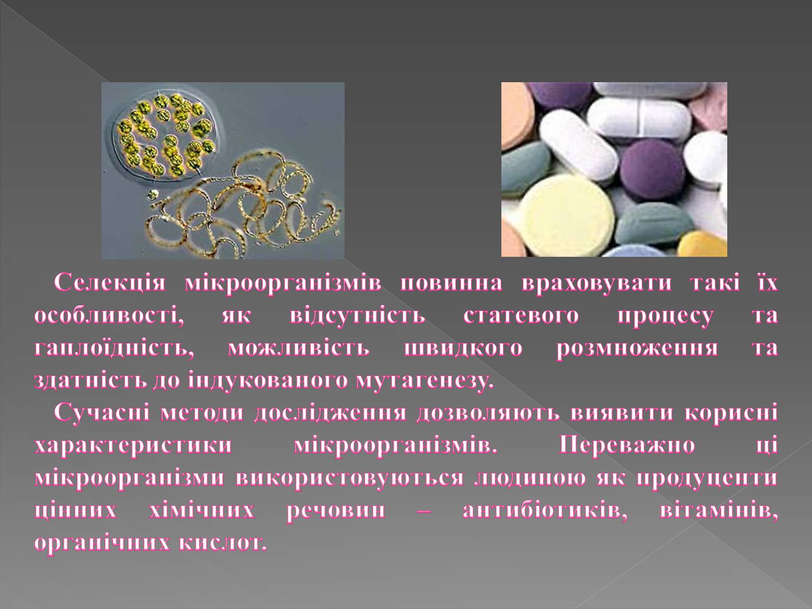 Презентація на тему «Основи селекції» - Слайд #22 Презентація на тему «Основи селекції» - Слайд #22