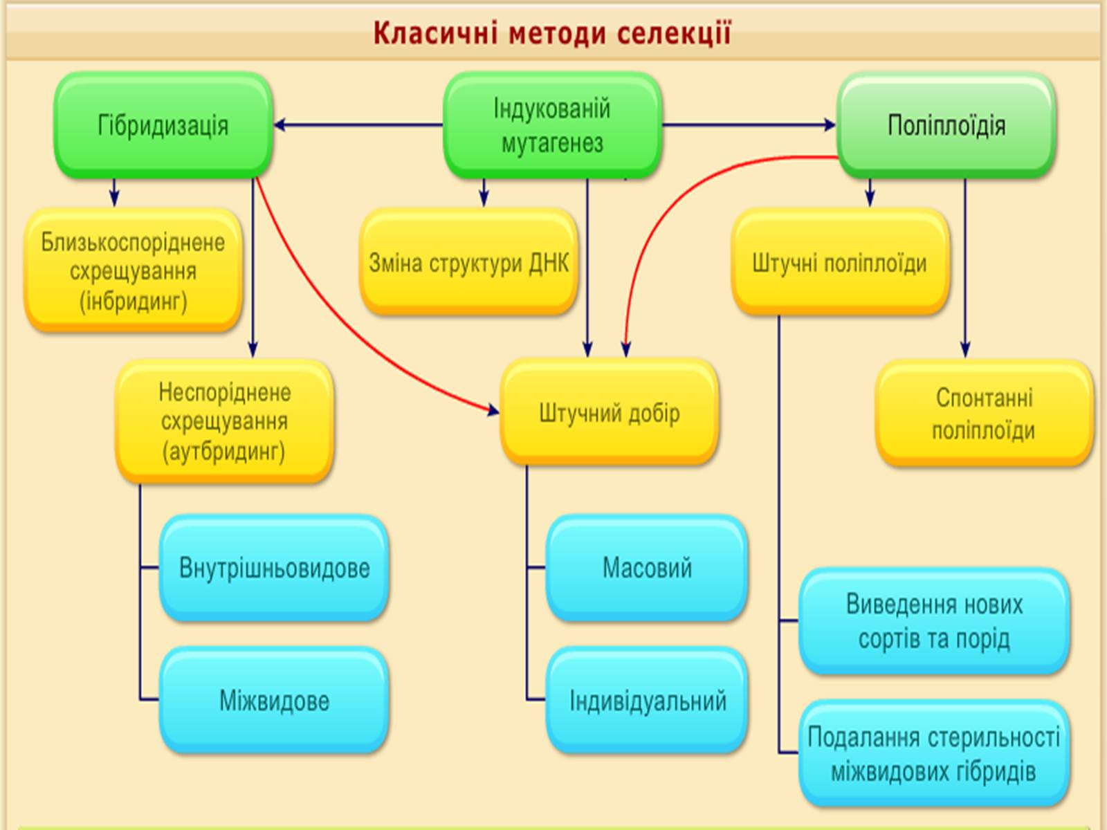 Презентація на тему «Основи селекції» - Слайд #3 Презентація на тему «Основи селекції» - Слайд #3