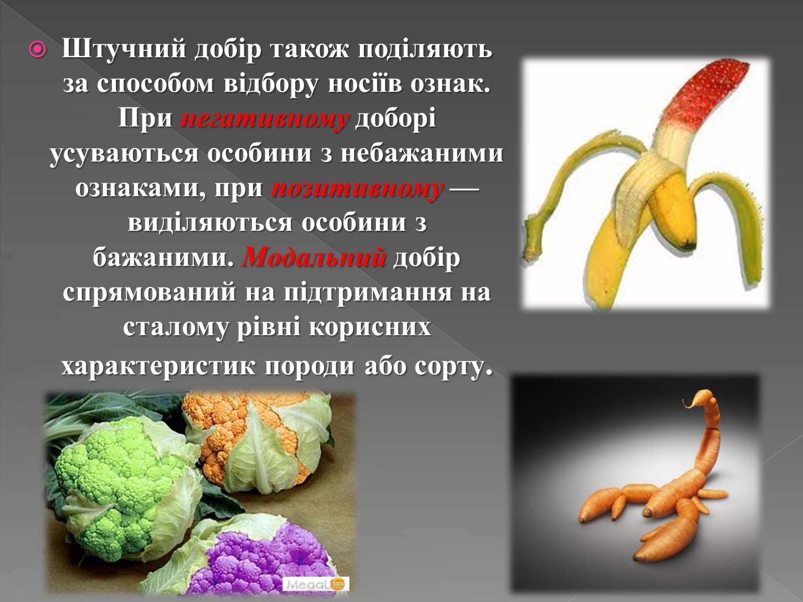 Презентація на тему «Основи селекції» - Слайд #9 Презентація на тему «Основи селекції» - Слайд #9