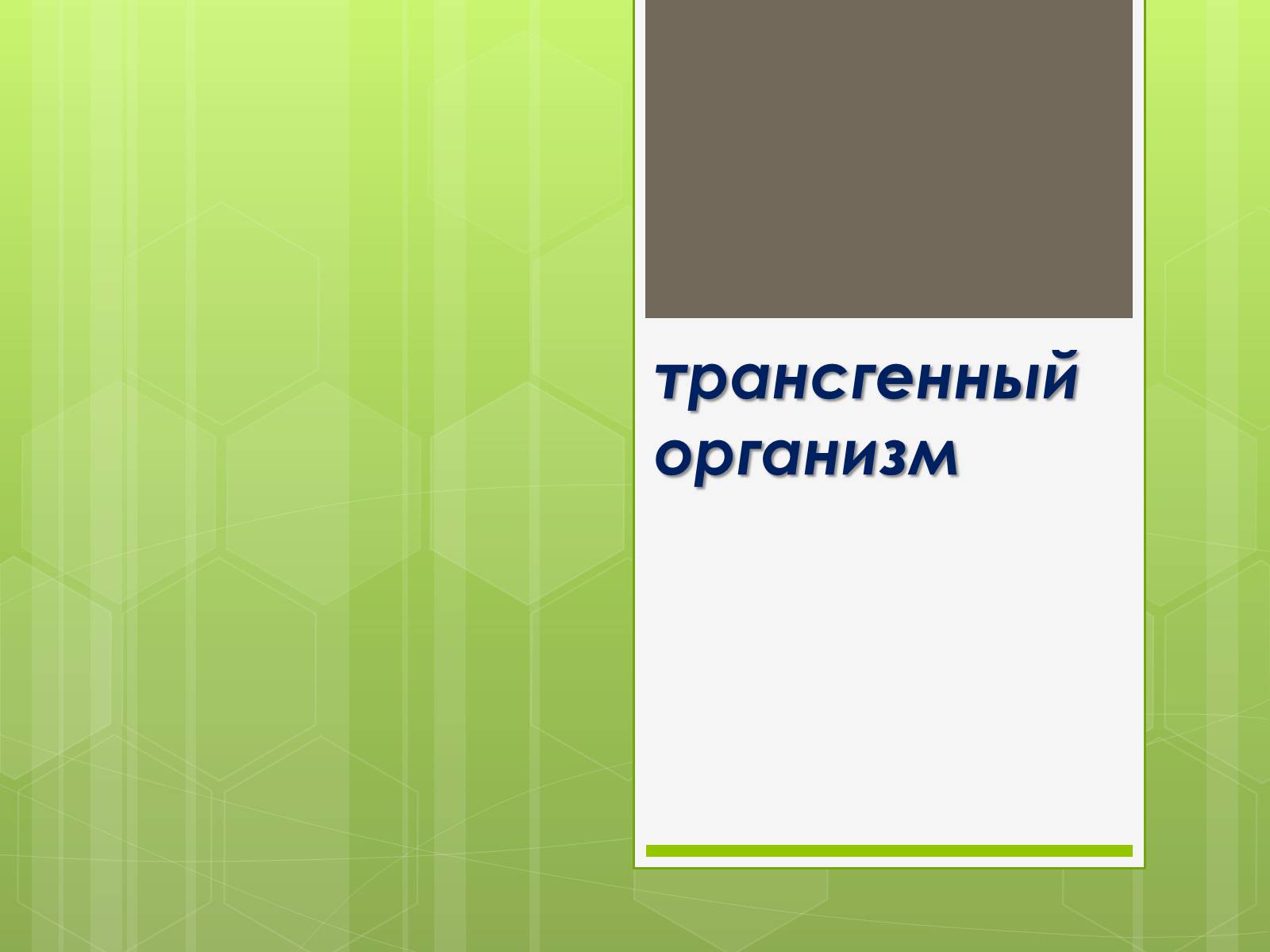 Презентація на тему «Трансгенный организм» - Слайд #1 Презентація на тему «Трансгенный организм» - Слайд #1