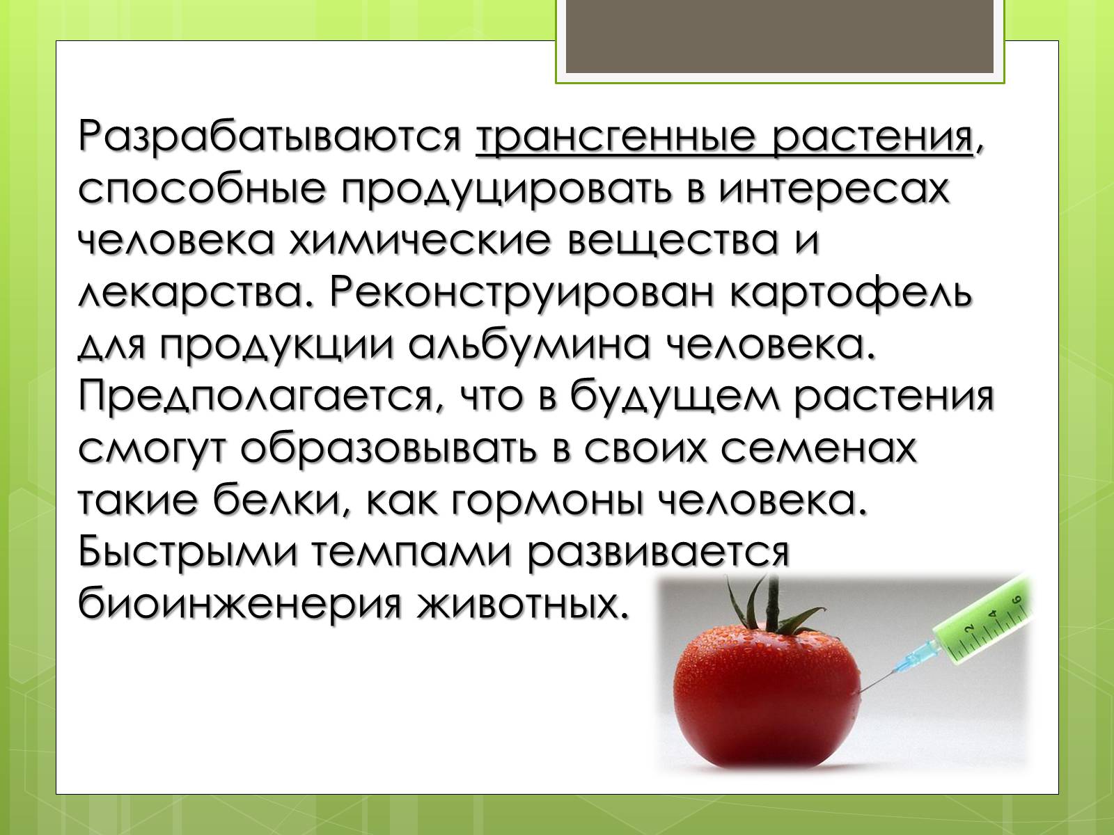 Презентація на тему «Трансгенный организм» - Слайд #7 Презентація на тему «Трансгенный организм» - Слайд #7