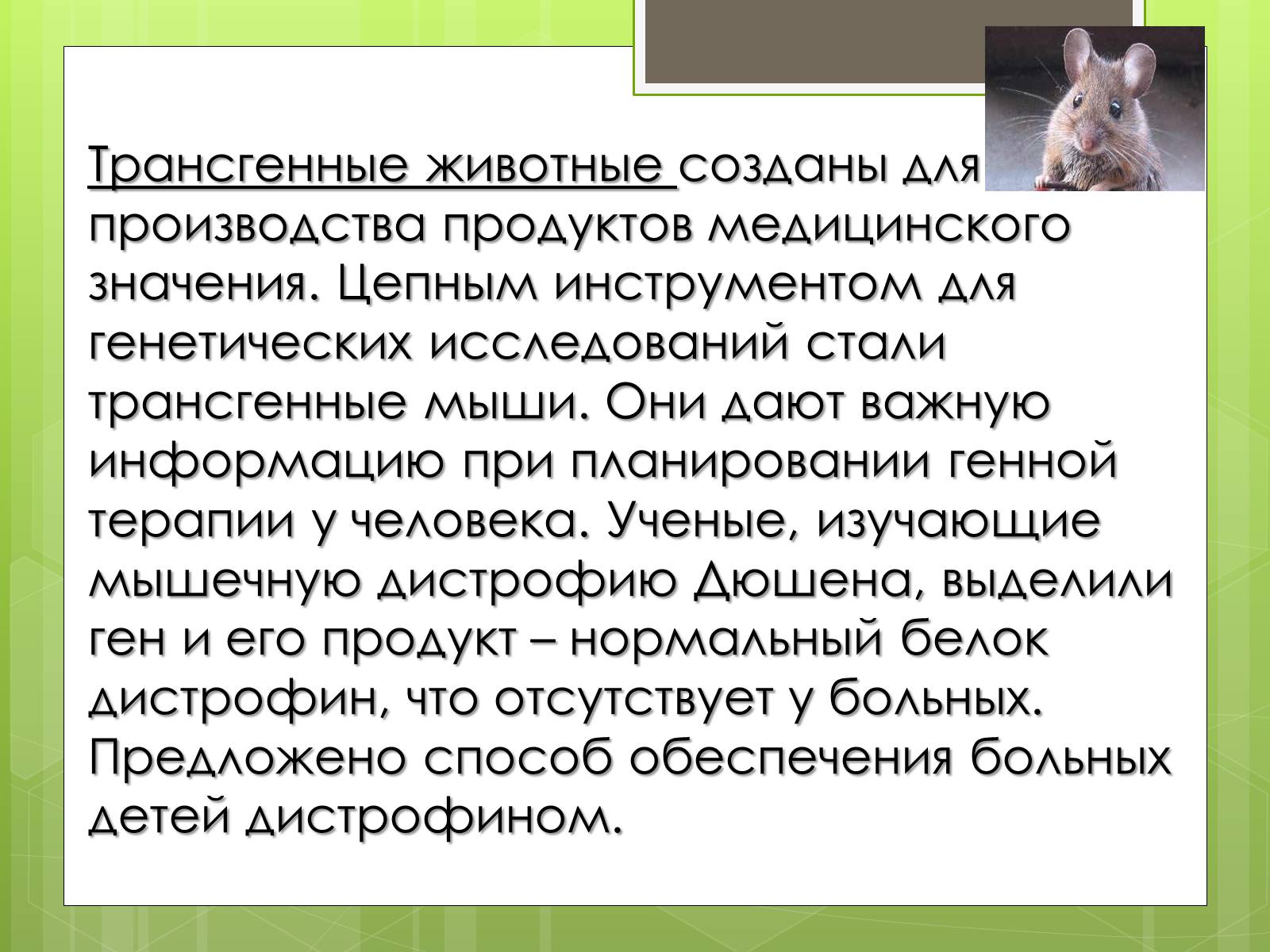 Презентація на тему «Трансгенный организм» - Слайд #8 Презентація на тему «Трансгенный организм» - Слайд #8