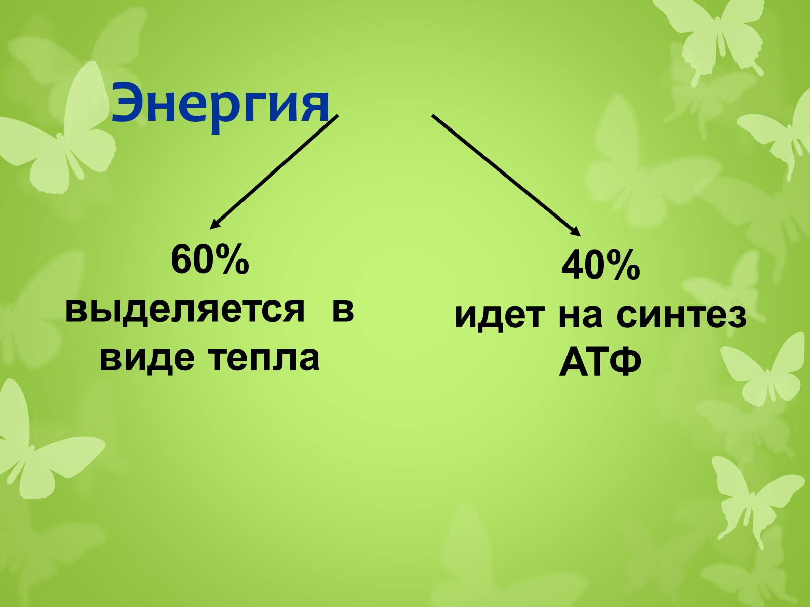 Презентація на тему «ЭНЕРГЕТИЧЕСКИЙ ОБМЕН» - Слайд #10 Презентація на тему «ЭНЕРГЕТИЧЕСКИЙ ОБМЕН» - Слайд #10
