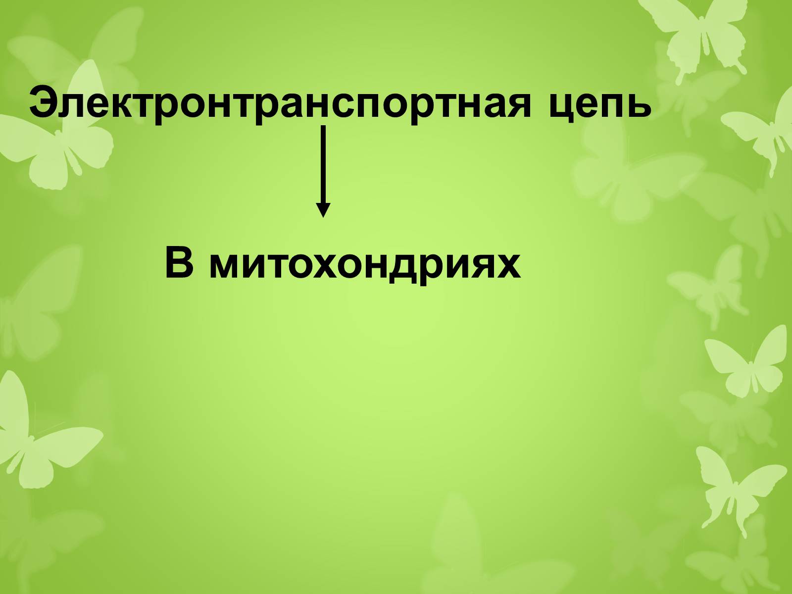 Презентація на тему «ЭНЕРГЕТИЧЕСКИЙ ОБМЕН» - Слайд #17 Презентація на тему «ЭНЕРГЕТИЧЕСКИЙ ОБМЕН» - Слайд #17