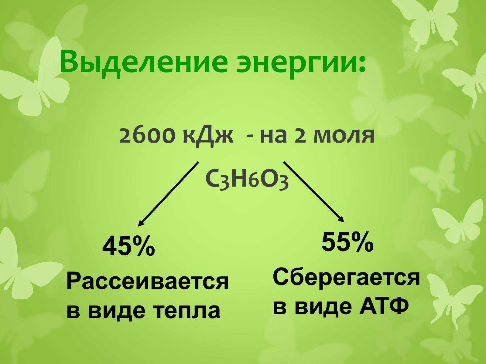 Презентація на тему «ЭНЕРГЕТИЧЕСКИЙ ОБМЕН» - Слайд #23 Презентація на тему «ЭНЕРГЕТИЧЕСКИЙ ОБМЕН» - Слайд #23