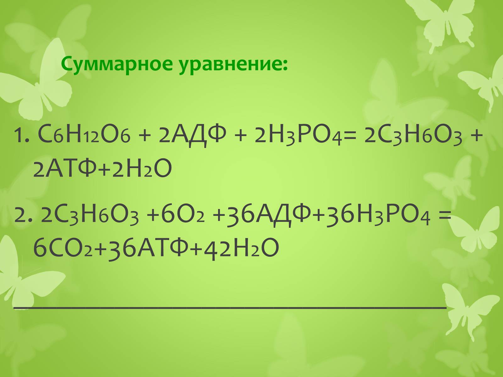 Презентація на тему «ЭНЕРГЕТИЧЕСКИЙ ОБМЕН» - Слайд #25 Презентація на тему «ЭНЕРГЕТИЧЕСКИЙ ОБМЕН» - Слайд #25