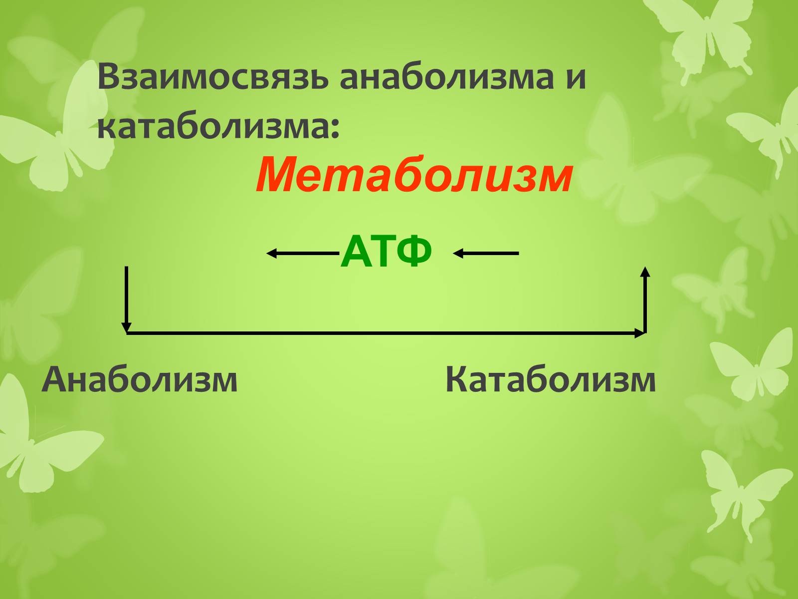 Презентація на тему «ЭНЕРГЕТИЧЕСКИЙ ОБМЕН» - Слайд #5 Презентація на тему «ЭНЕРГЕТИЧЕСКИЙ ОБМЕН» - Слайд #5