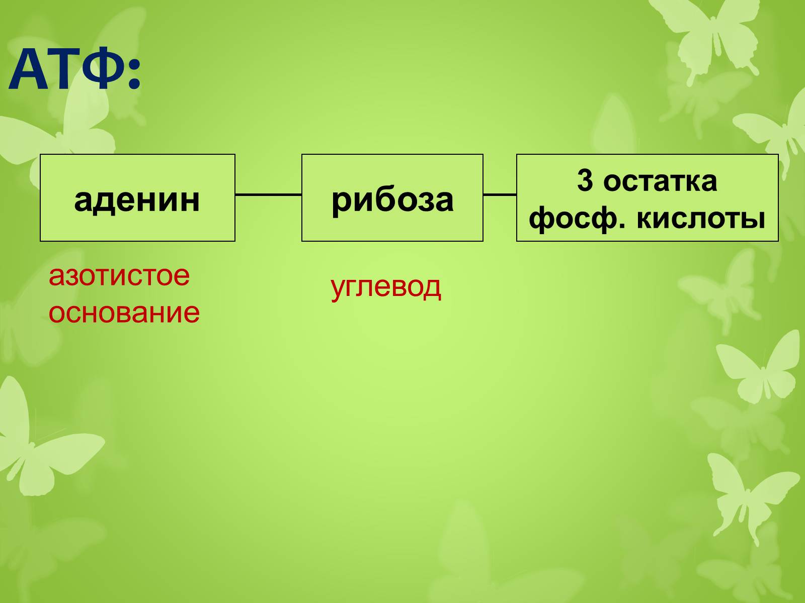 Презентація на тему «ЭНЕРГЕТИЧЕСКИЙ ОБМЕН» - Слайд #6 Презентація на тему «ЭНЕРГЕТИЧЕСКИЙ ОБМЕН» - Слайд #6