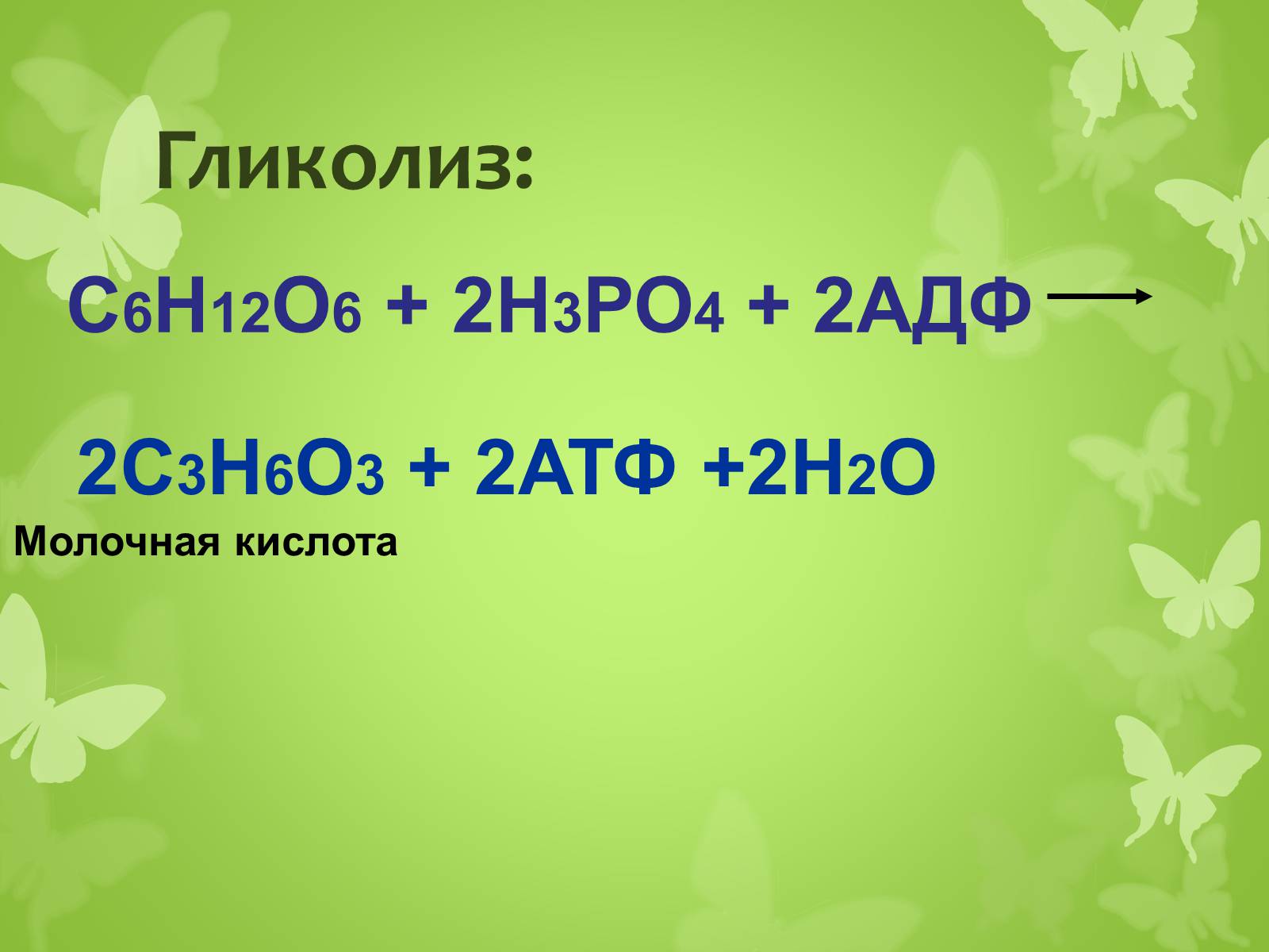 Презентація на тему «ЭНЕРГЕТИЧЕСКИЙ ОБМЕН» - Слайд #9 Презентація на тему «ЭНЕРГЕТИЧЕСКИЙ ОБМЕН» - Слайд #9