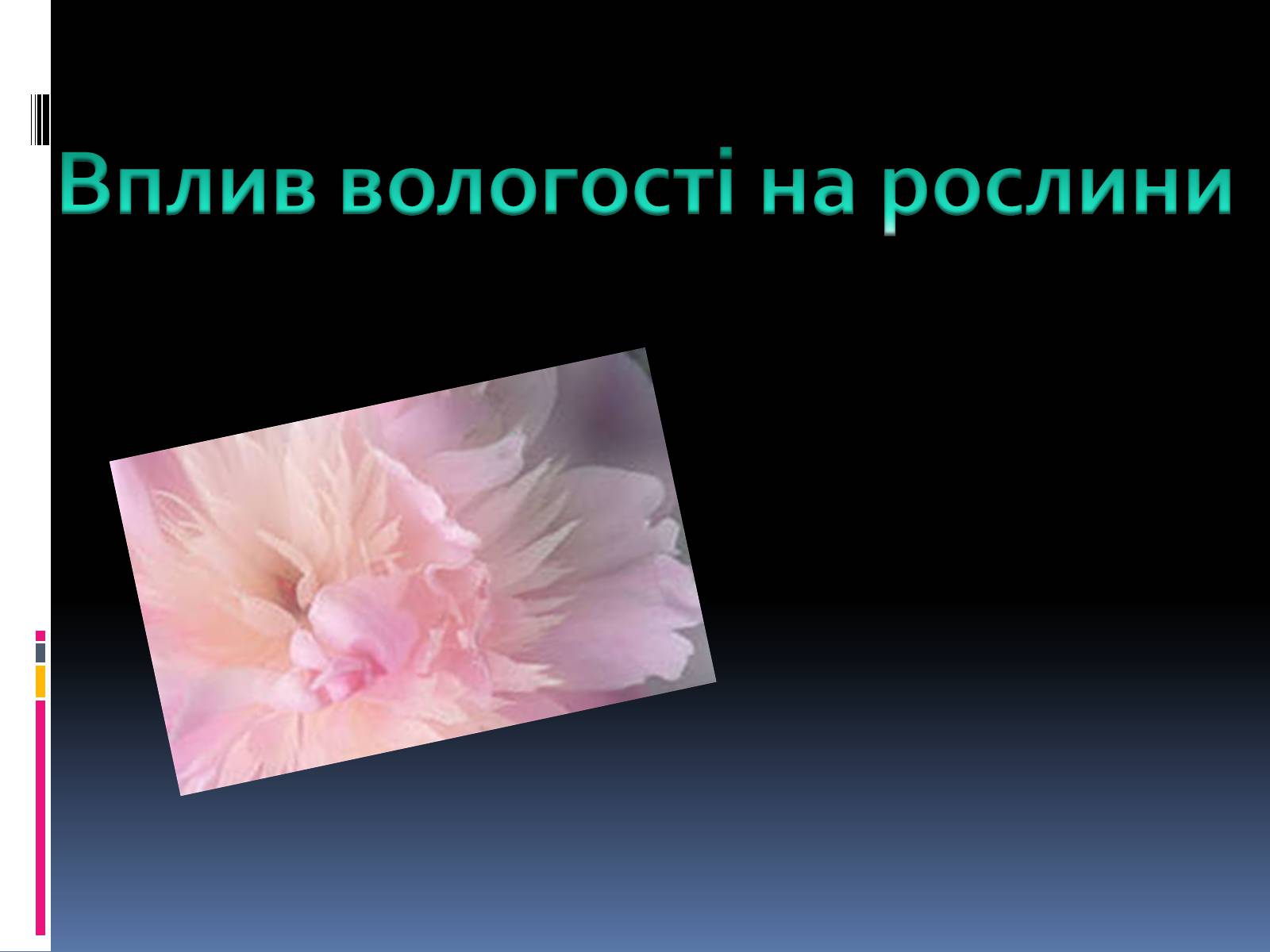 Презентація на тему «Вплив вологості на рослини» - Слайд #1 Презентація на тему «Вплив вологості на рослини» - Слайд #1