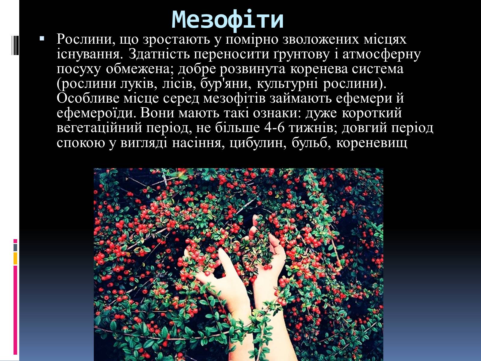 Презентація на тему «Вплив вологості на рослини» - Слайд #10 Презентація на тему «Вплив вологості на рослини» - Слайд #10