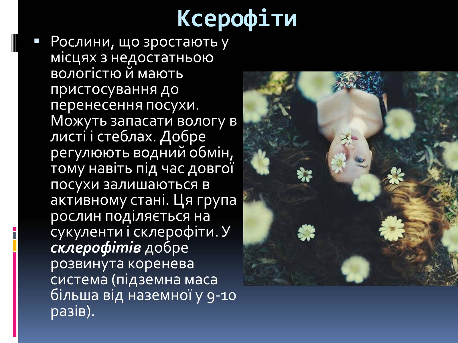 Презентація на тему «Вплив вологості на рослини» - Слайд #12 Презентація на тему «Вплив вологості на рослини» - Слайд #12