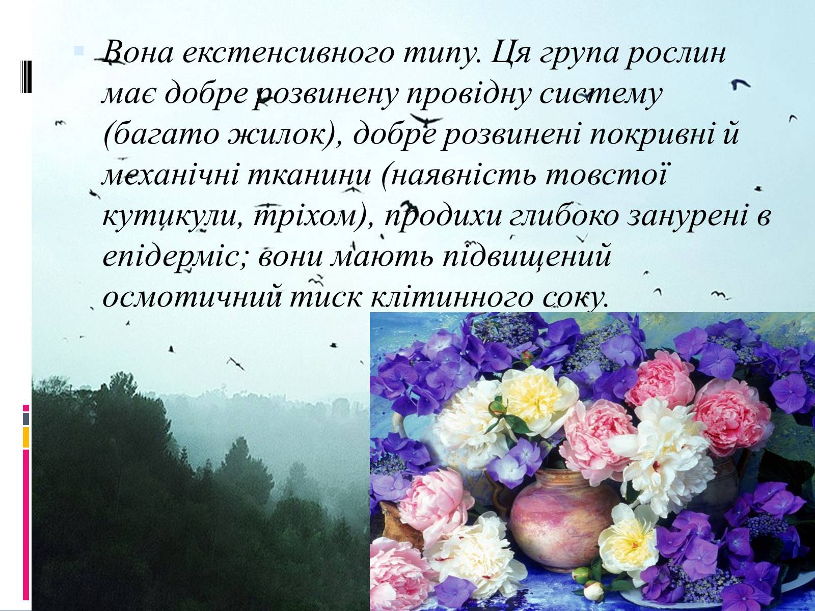 Презентація на тему «Вплив вологості на рослини» - Слайд #13 Презентація на тему «Вплив вологості на рослини» - Слайд #13