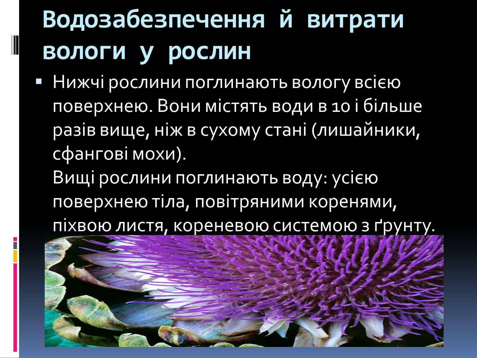 Презентація на тему «Вплив вологості на рослини» - Слайд #2 Презентація на тему «Вплив вологості на рослини» - Слайд #2