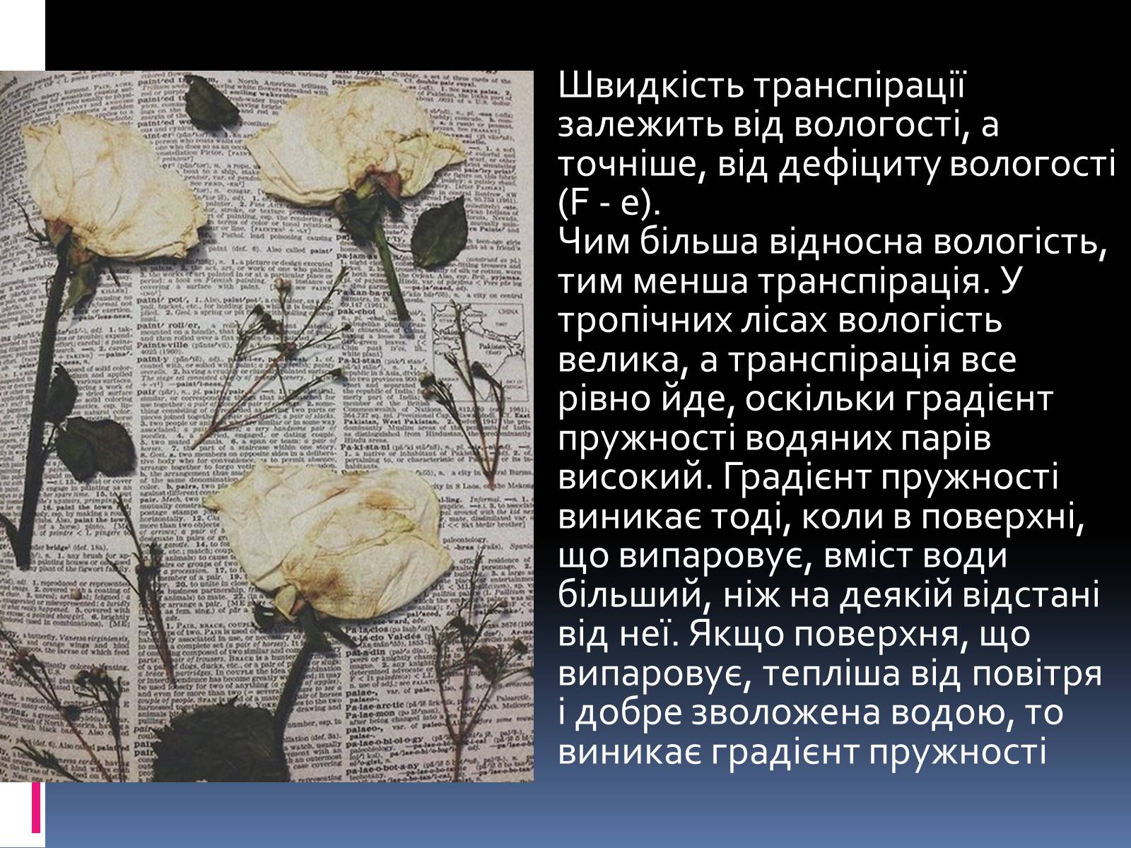 Презентація на тему «Вплив вологості на рослини» - Слайд #5 Презентація на тему «Вплив вологості на рослини» - Слайд #5