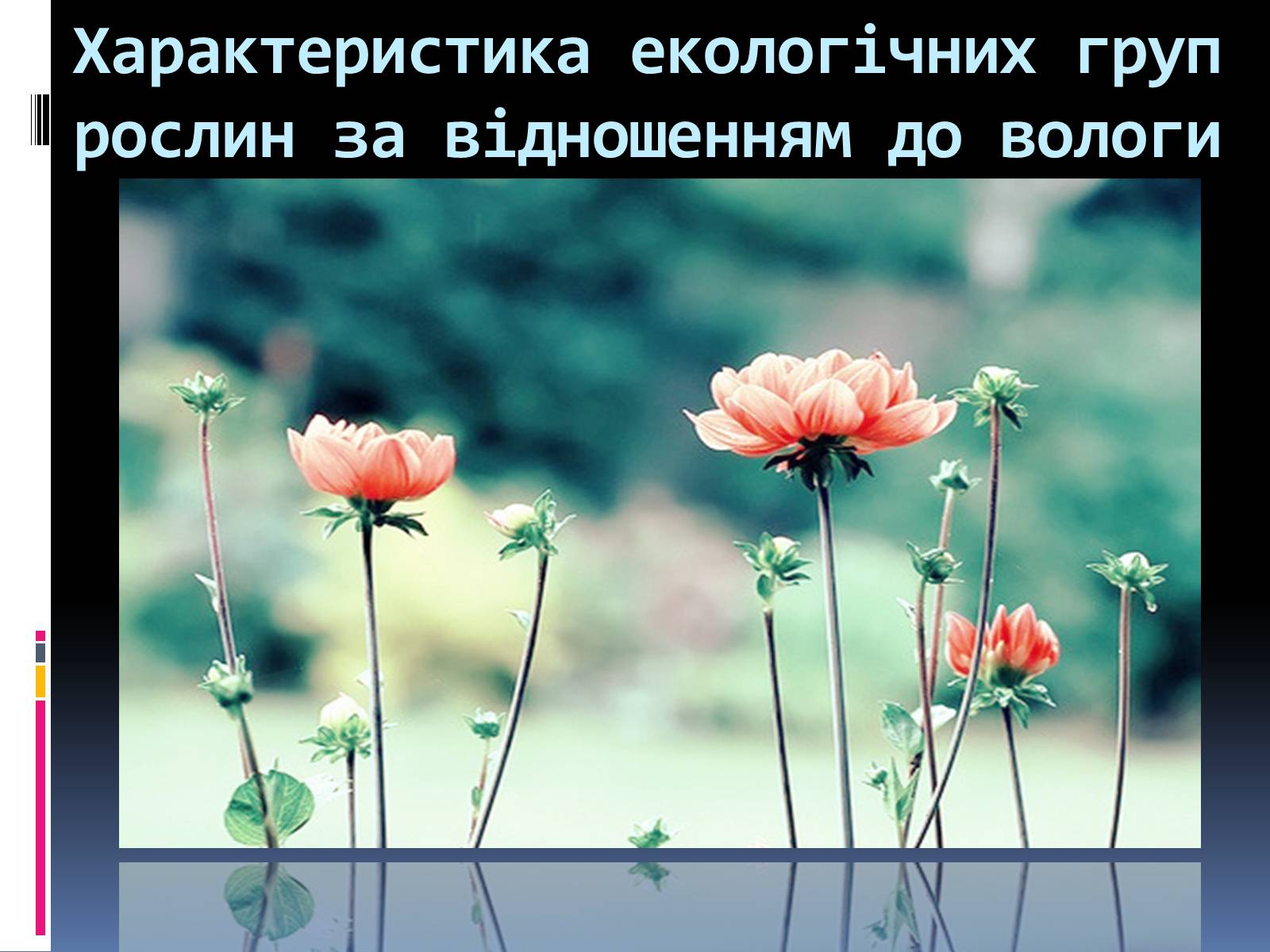 Презентація на тему «Вплив вологості на рослини» - Слайд #6 Презентація на тему «Вплив вологості на рослини» - Слайд #6