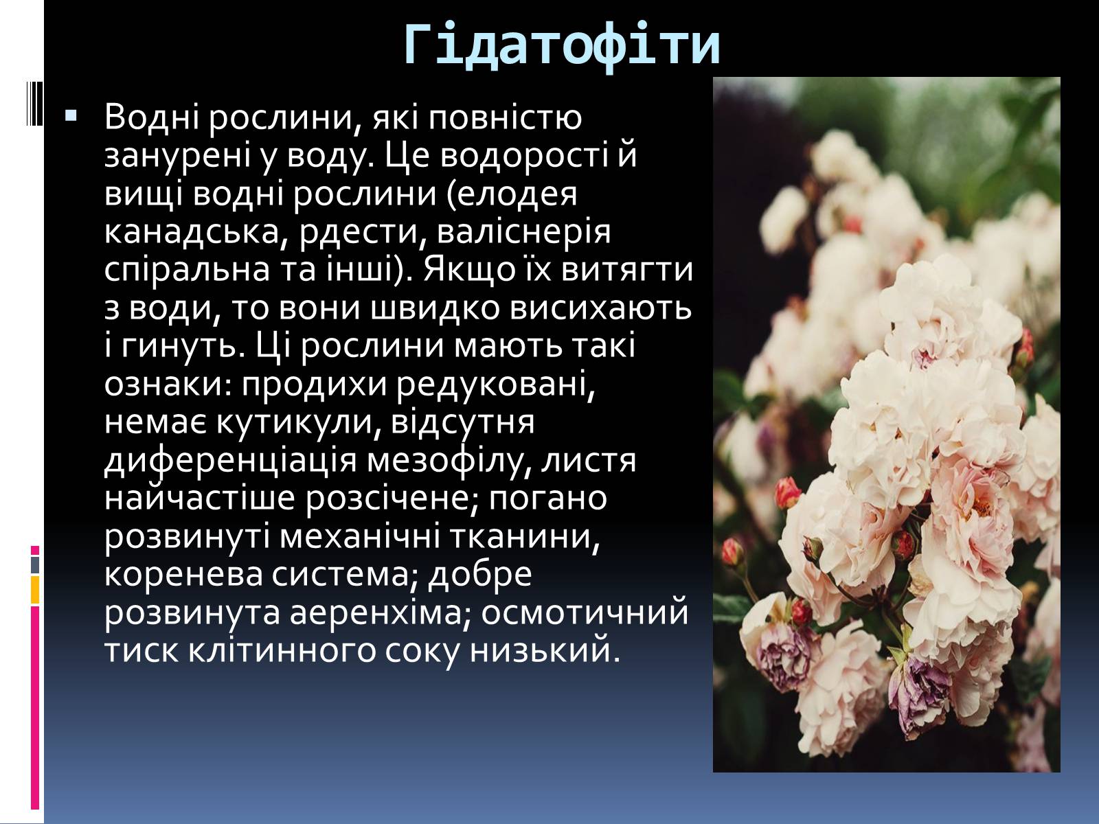 Презентація на тему «Вплив вологості на рослини» - Слайд #7 Презентація на тему «Вплив вологості на рослини» - Слайд #7