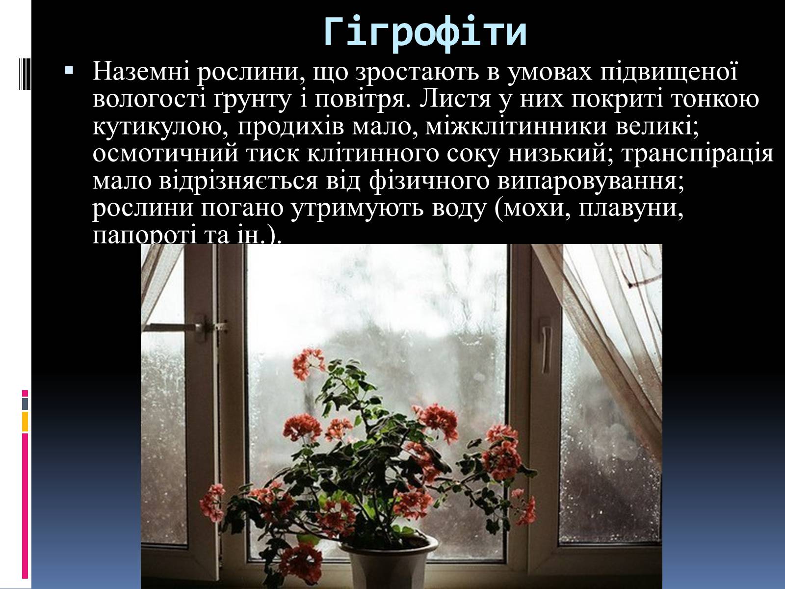 Презентація на тему «Вплив вологості на рослини» - Слайд #9 Презентація на тему «Вплив вологості на рослини» - Слайд #9