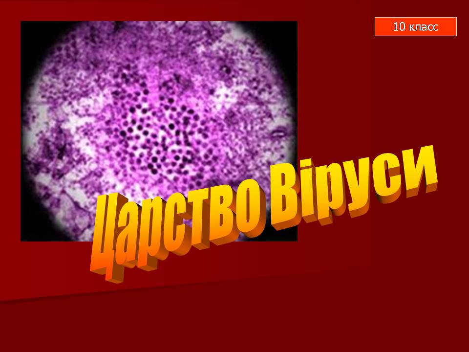 Презентація на тему «Царство Віруси» - Слайд #1 Презентація на тему «Царство Віруси» - Слайд #1