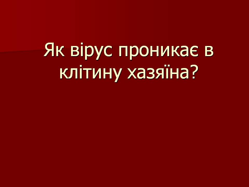 Презентація на тему «Царство Віруси» - Слайд #16 Презентація на тему «Царство Віруси» - Слайд #16