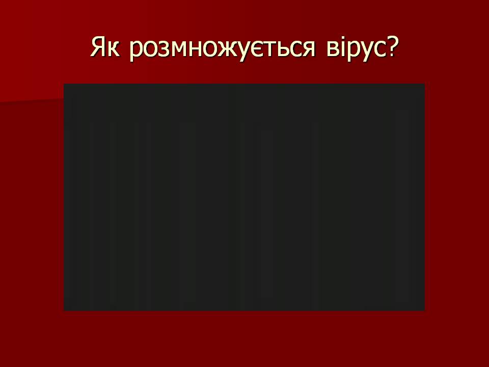 Презентація на тему «Царство Віруси» - Слайд #19 Презентація на тему «Царство Віруси» - Слайд #19
