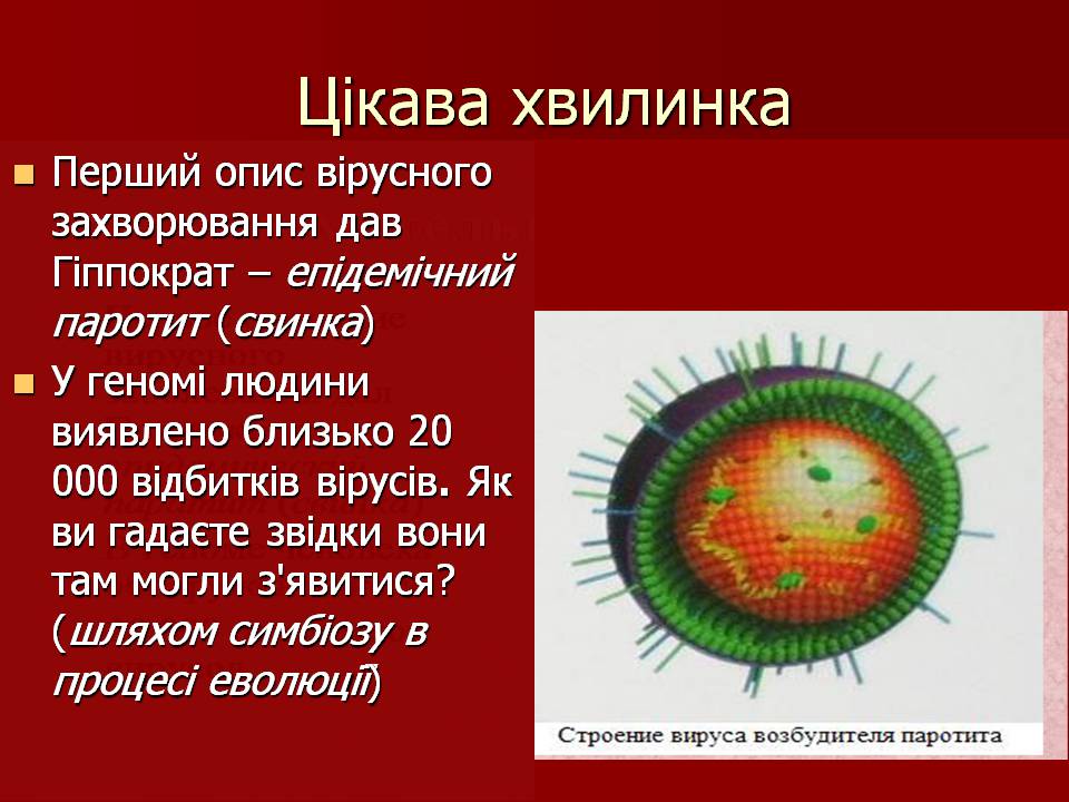 Презентація на тему «Царство Віруси» - Слайд #24 Презентація на тему «Царство Віруси» - Слайд #24