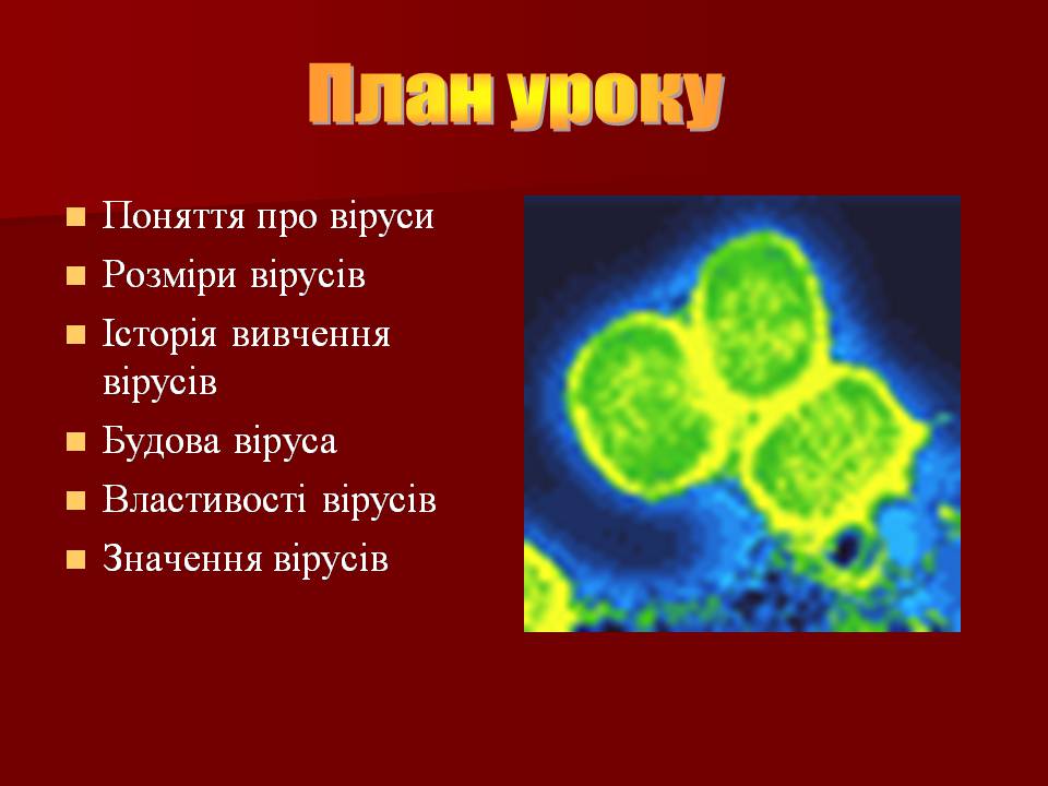 Презентація на тему «Царство Віруси» - Слайд #6 Презентація на тему «Царство Віруси» - Слайд #6