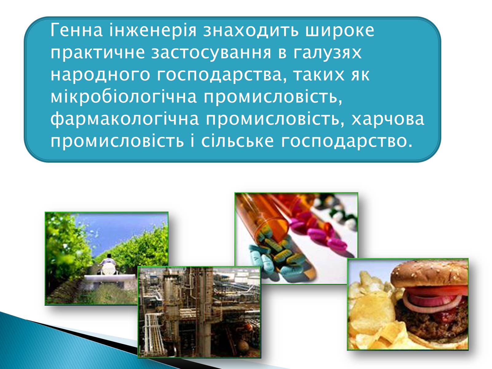 Презентація на тему «Генна інженерія» (варіант 6) - Слайд #2 Презентація на тему «Генна інженерія» (варіант 6) - Слайд #2