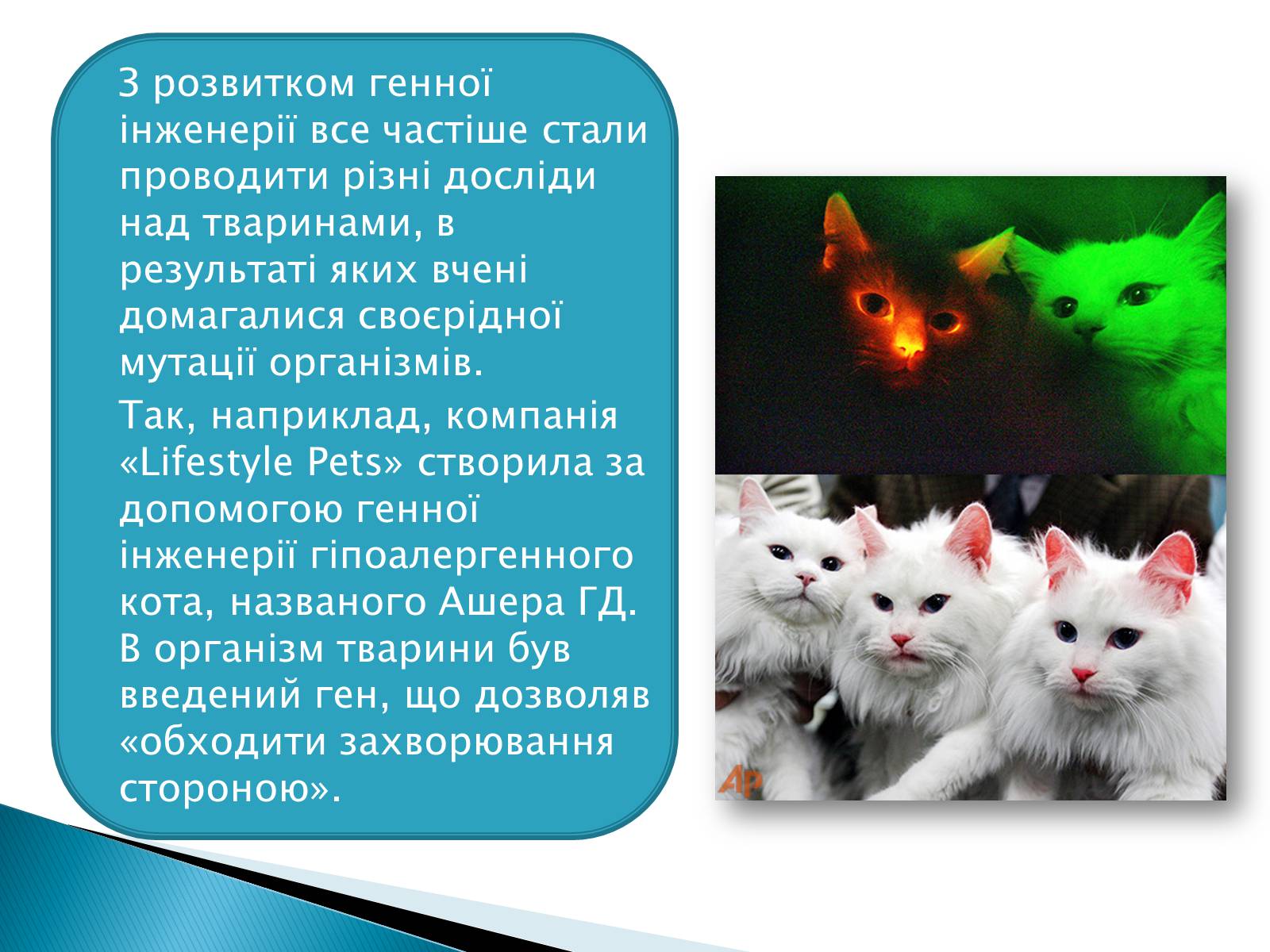 Презентація на тему «Генна інженерія» (варіант 6) - Слайд #4 Презентація на тему «Генна інженерія» (варіант 6) - Слайд #4