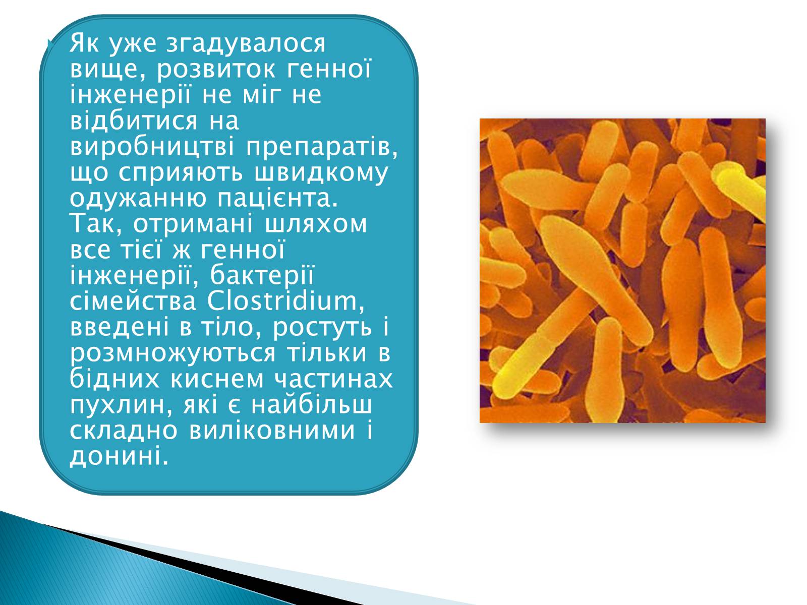 Презентація на тему «Генна інженерія» (варіант 6) - Слайд #7 Презентація на тему «Генна інженерія» (варіант 6) - Слайд #7